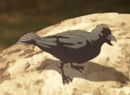 Hashibami (Genya's crow)
