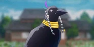 Nijimaru (Tengen's crow)
