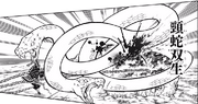 Serpent Breathing Fourth Form - Twin-Headed Reptile