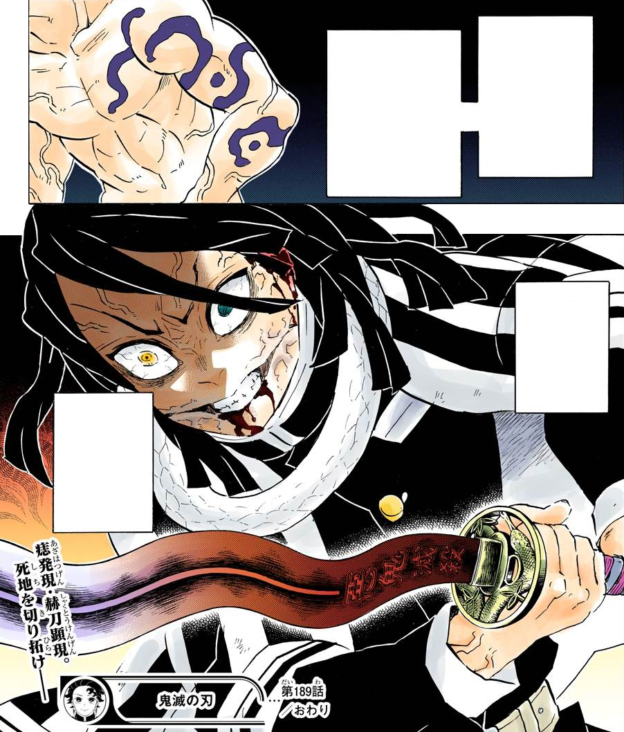 Demon Slayers Vs Muzan Kibutsuji Part 2 Kimetsu No Yaiba Wikia Fandom Demon Slayers Vs Muzan Kibutsuji Part 2 Kimetsu No Yaiba Wikia Fandom