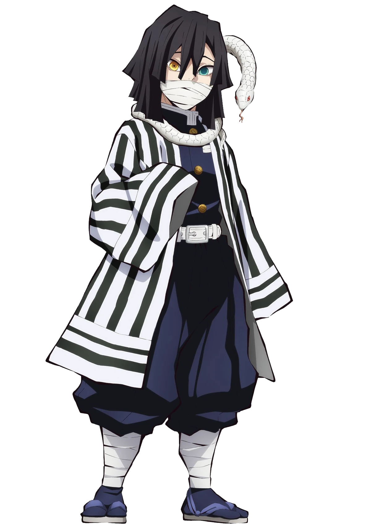 Obanai Iguro | Kimetsu no Yaiba Wiki | Fandom