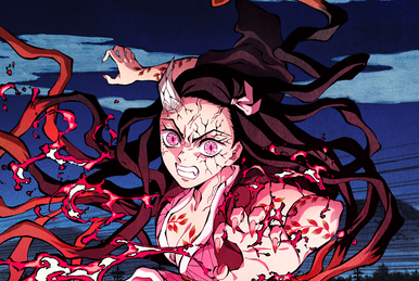 Demon Slayer : Kimetsu no Yaiba Vol.2 Episodes 14-26 Blu-Ray Box