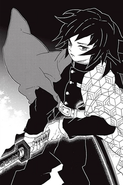 Hotaru Haganezuka — Otagifs