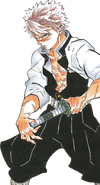 Sanemi colored body