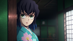 Inosuke Hashibira Kimetsu No Yaiba Wiki Fandom Inosuke Hashibira Kimetsu No Yaiba Wiki Fandom