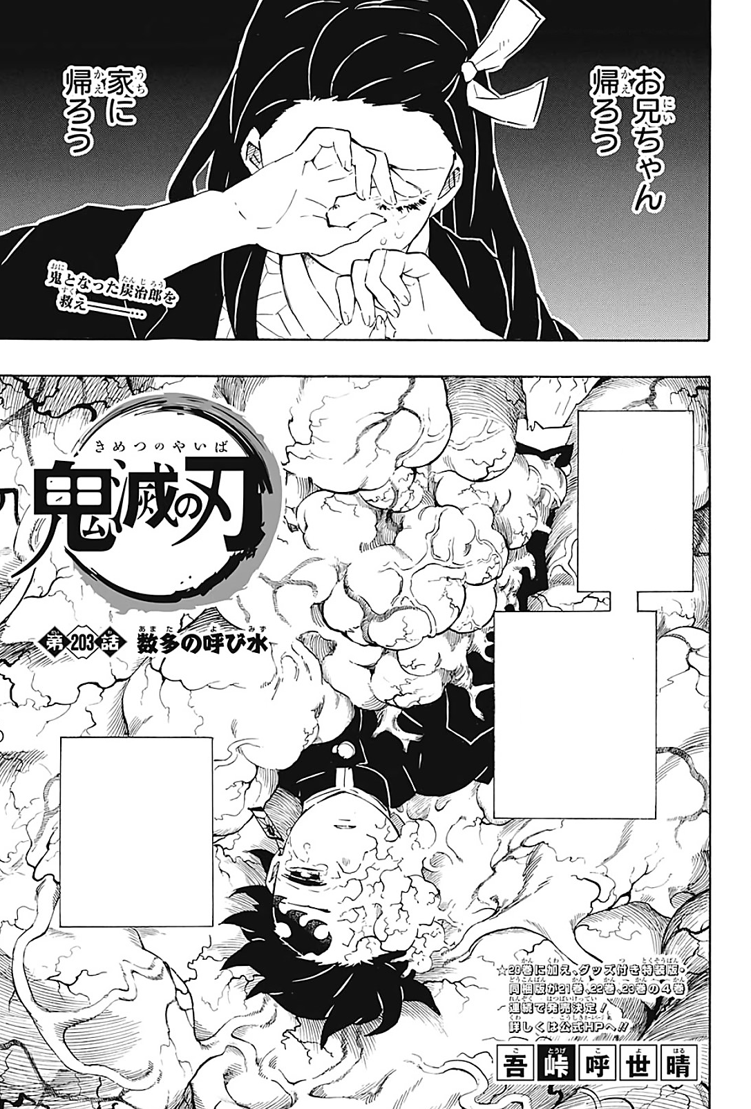 Demon Slayer: Kimetsu no Yaiba Chapter 203 - Kimetsu no Yaiba