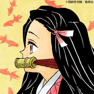 Nezuko Kamado/Image Gallery, Kimetsu no Yaiba Wiki