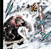 Tanjuro kills the bear
