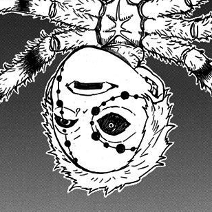 Spider Demon (Son)  Kimetsu no Yaiba+BreezeWiki