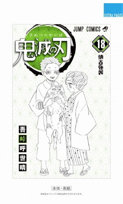 Demon Slayer - Kimetsu No Yaiba Vol. 18