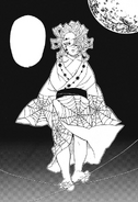 Rui body