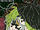 Chapter 119 Icon.png