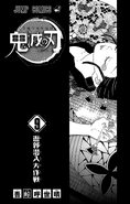 Kimetsu no Yaiba V9 TP