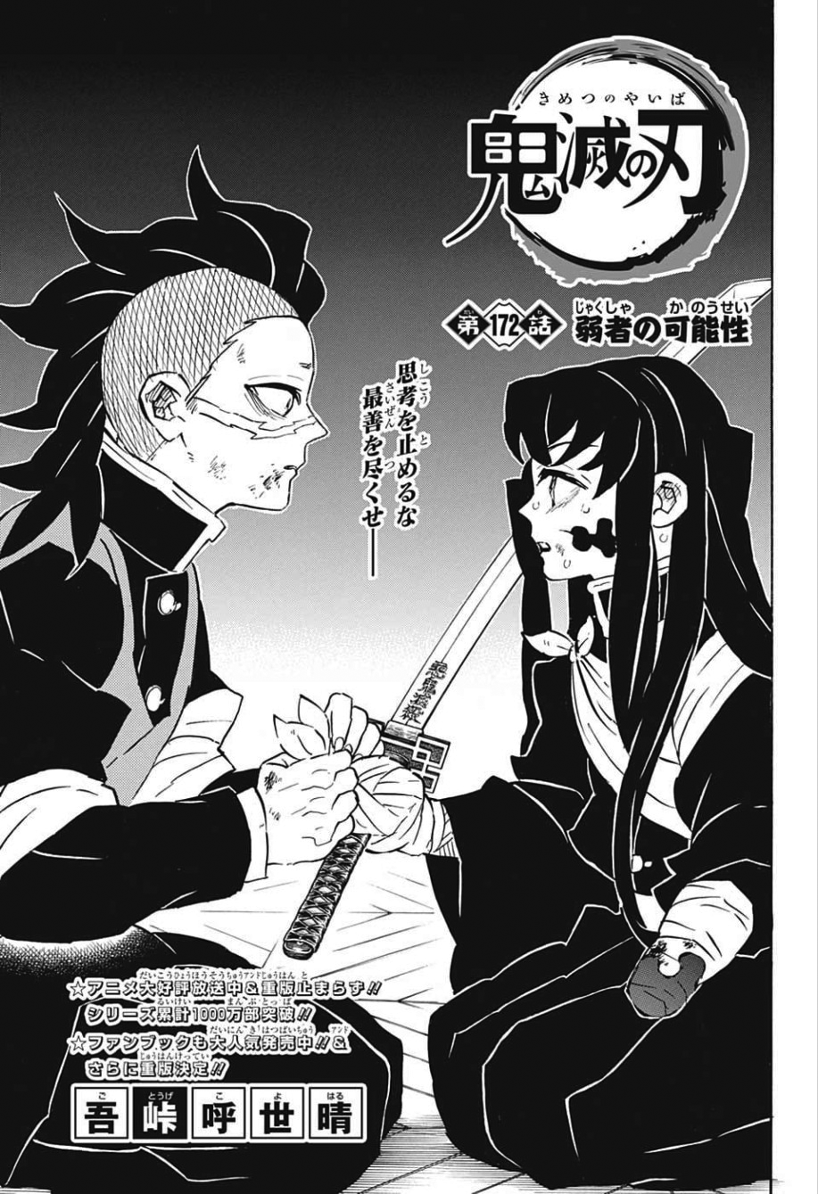 Chapter 172 Kimetsu No Yaiba Wikia Fandom