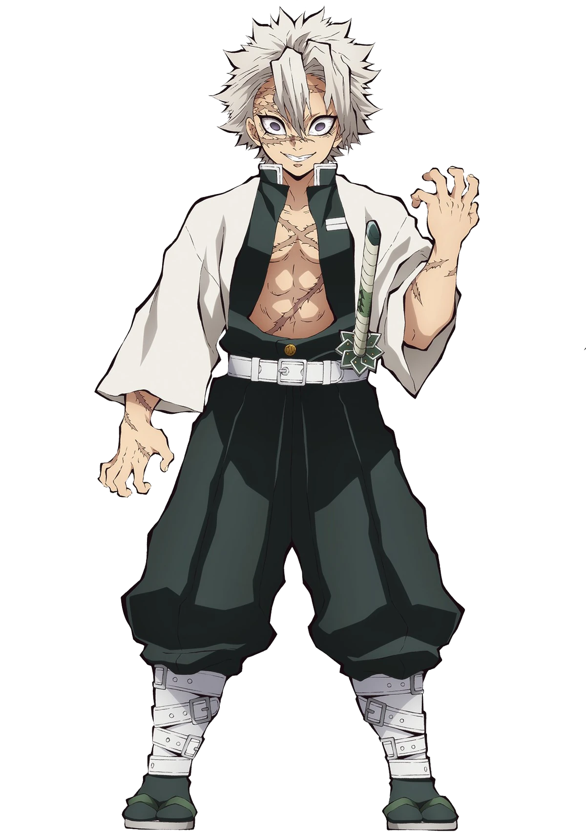 Nombre De Piliers Demon Slayer Sanemi Shinazugawa | Wiki Kimetsu no Yaiba | Fandom