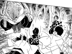 Inosuke Hashibira Image Gallery Kimetsu No Yaiba Wikia Fandom Inosuke Hashibira Image Gallery Kimetsu No Yaiba Wikia Fandom
