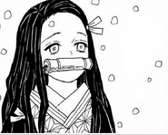 Nezuko admiring the snow.