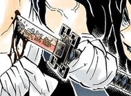 Lame cramoisi de Muichiro Tokito.