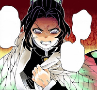 Shinobu Kocho | Kimetsu no Yaiba Wiki | Fandom