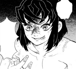 Inosuke Hashibira Image Gallery Kimetsu No Yaiba Wikia Fandom