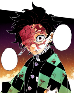 Tanjiro Kamado Kimetsu No Yaiba Wiki Fandom