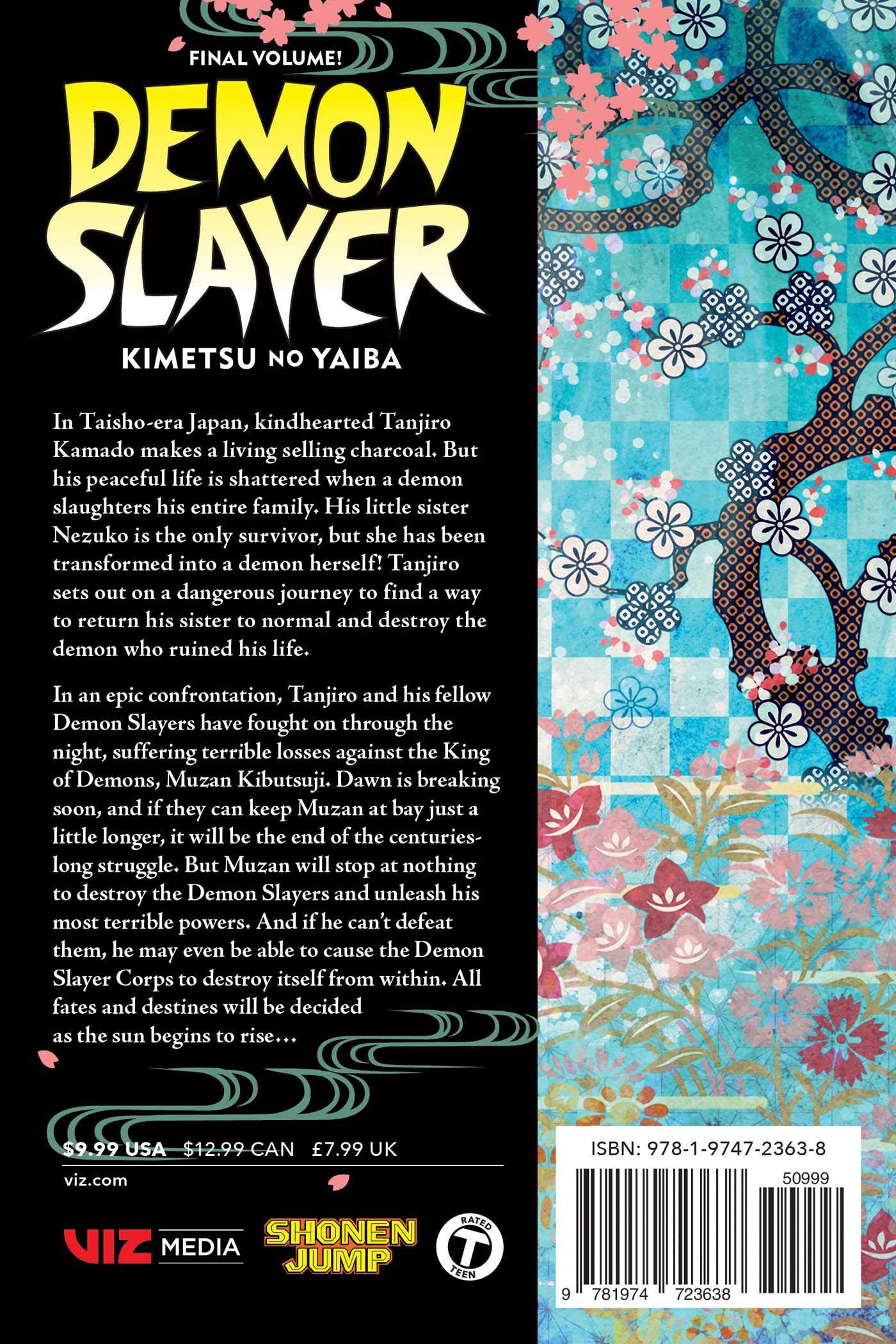Demon Slayer: Kimetsu no Yaiba Final Volume Review - A Spectacular,  Satisfying Conclusion