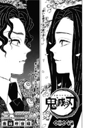 Kimetsu no Yaiba CH137