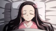 Nezuko's sleeping state.