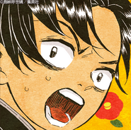 Murata colored profile