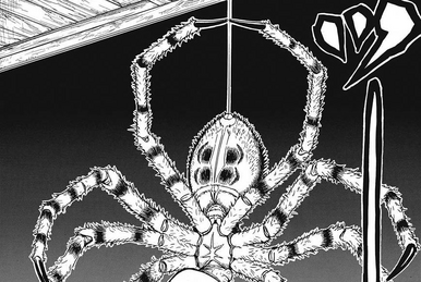 Zenitsu Agatsuma vs Spider Demon (Son), Kimetsu no Yaiba Wiki