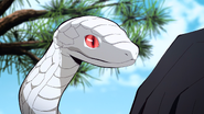 Obanai's snake, Kaburamaru.