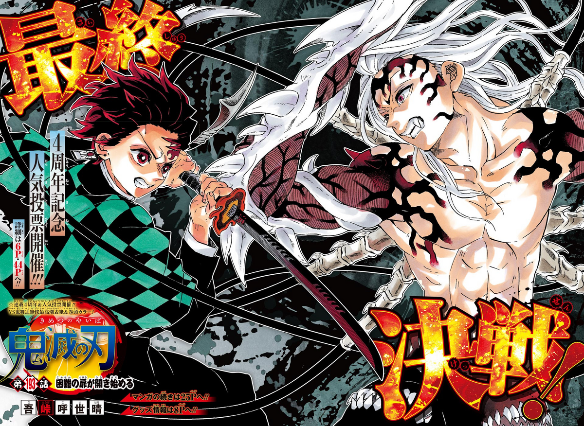 Where Does Demon Slayer Anime End in MangaJapan Geeks