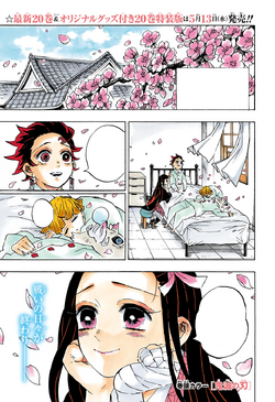 Inosuke Hashibira Image Gallery Kimetsu No Yaiba Wikia Fandom Inosuke Hashibira Image Gallery Kimetsu No Yaiba Wikia Fandom