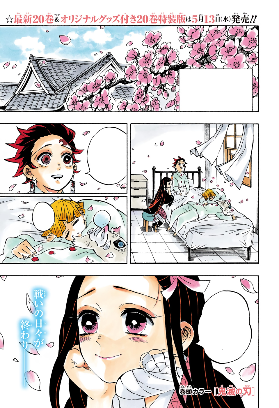 Demon Slayer - Kimetsu no Yaiba, Chapter 203 - Demon Slayer