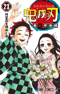 Tanjiro on the cover of Volume 23.