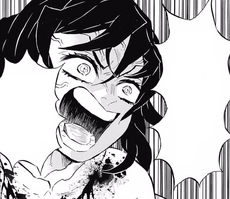 Inosuke Hashibira Synopsis Kimetsu No Yaiba Wikia Fandom