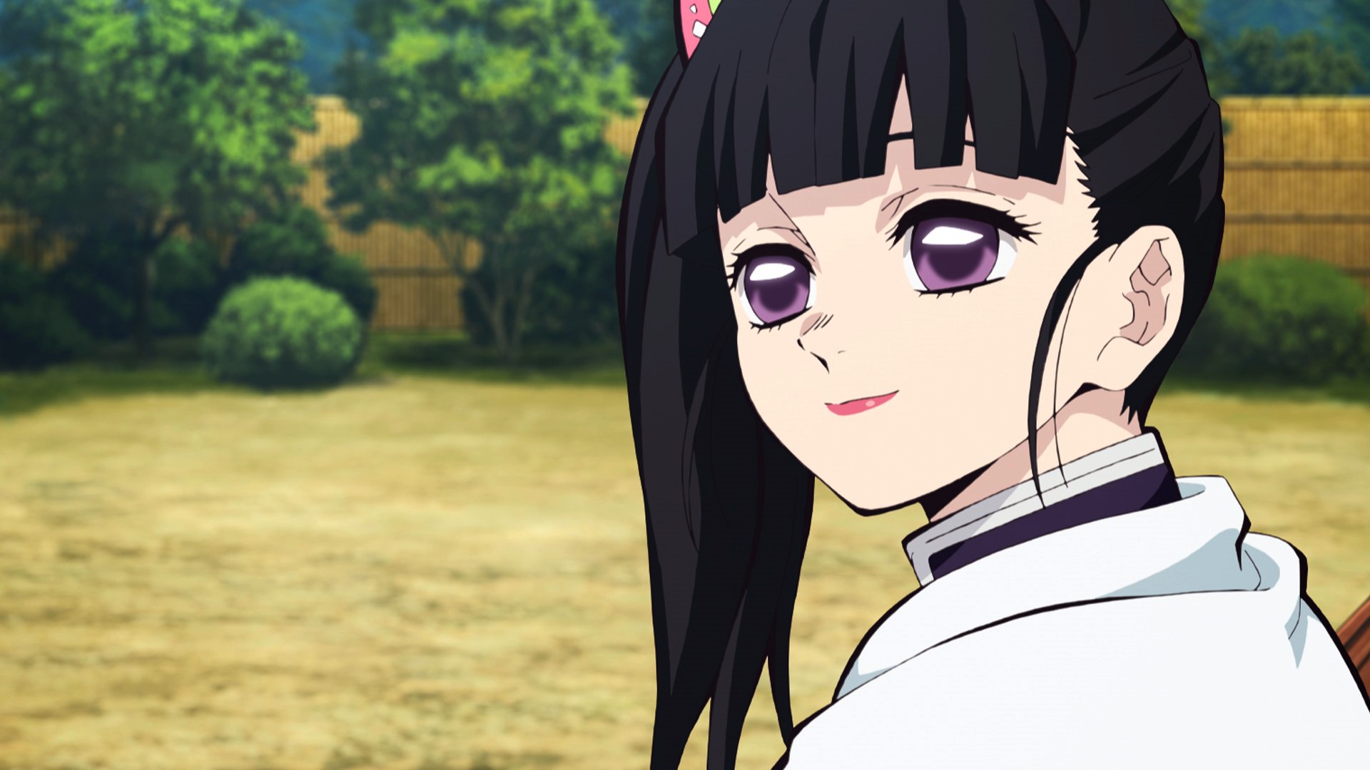 Kanao Tsuyuri Kimetsu No Yaiba Wiki Fandom