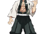 Sanemi Shinazugawa