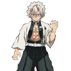 Categoria Pilares Kimetsu No Yaiba Wiki Fandom
