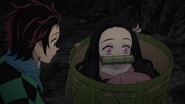 Nezuko fitting into the basket.