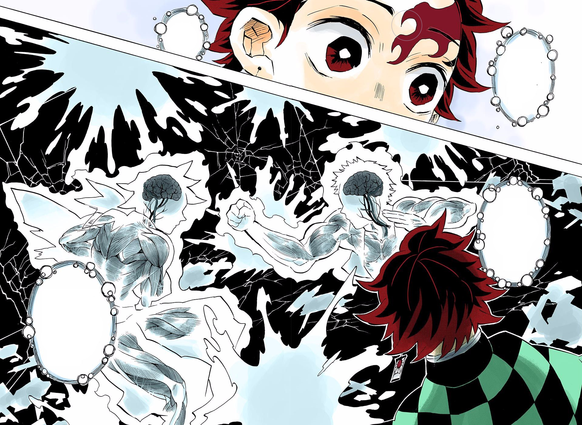 Tanjiro Kamado/Synopsis, Kimetsu no Yaiba Wiki