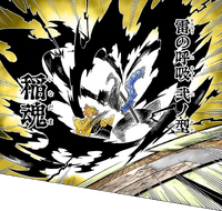 Rice Spirit