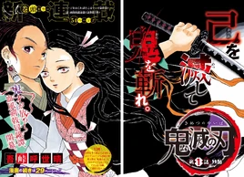 Обложка в цвете