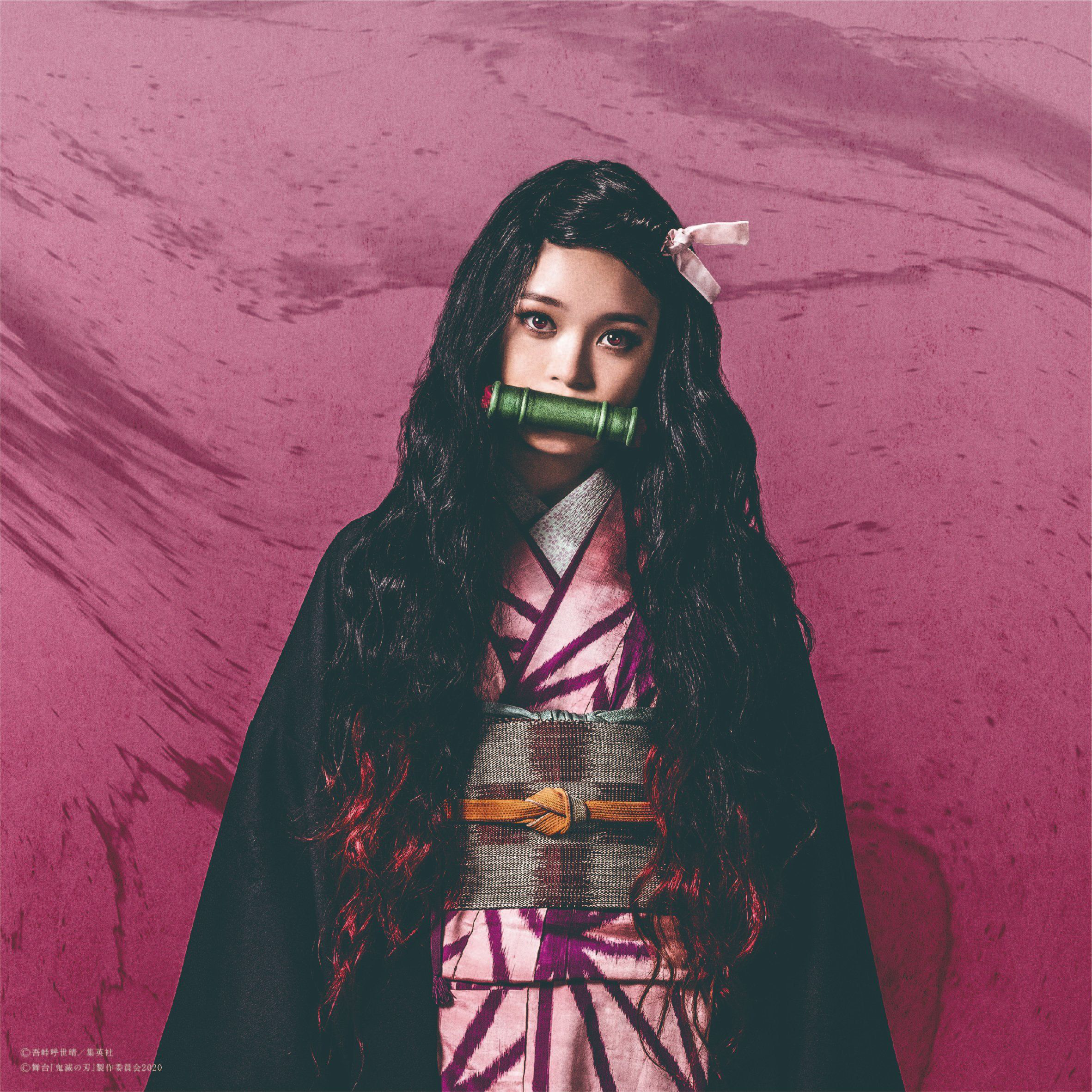 Pourquoi Nezuko A Un Bambou Dans La Bouche Nezuko Kamado | Wiki Kimetsu no Yaiba | Fandom