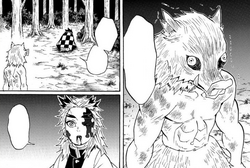 Inosuke Hashibira Image Gallery Kimetsu No Yaiba Wikia Fandom