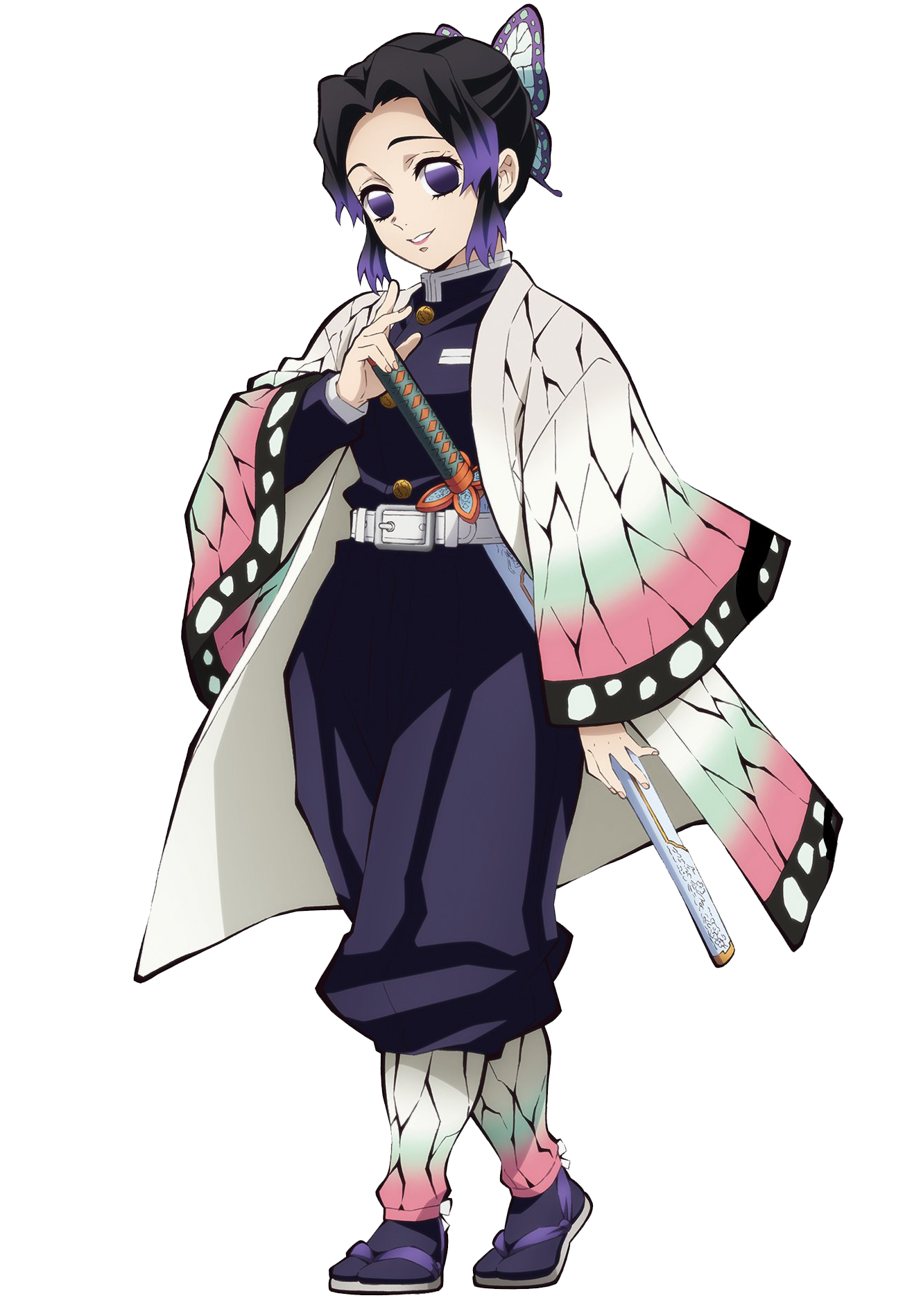 2 characters from anime series demon slayer: shinobu kocho