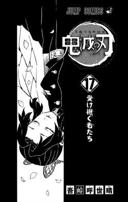 Demon Slayer Kimetsu No Yaiba, Mangá Vol. 12 Ao 17