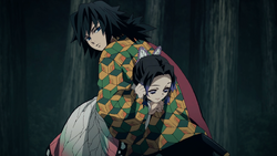 Demon Slayer: Kimetsu no Yaiba Shinobu & Giyu Sunshade