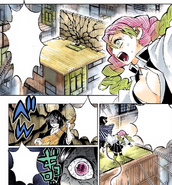 Mitsuri and Obanai finds Nakime.