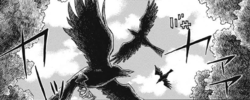 Crows.png